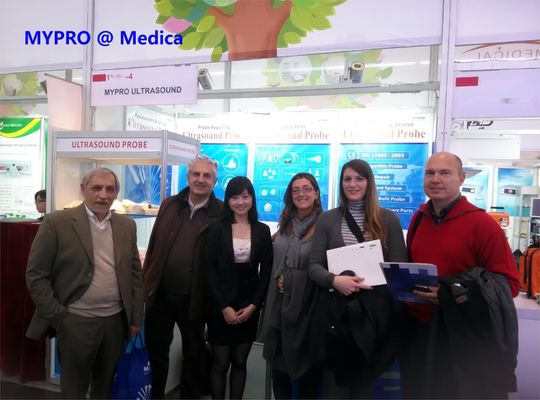 Υπερήχθη ανίχνευση 4D Κονβέξ RAB2-6-RS για GE Voluson P8 Volusoni BT14 Versana Premier