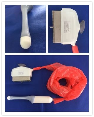 ΓΕ RIC5-9-D Voluson E6 Υπερήχηση Διαγλυπτικού για ακριβή ιατρική διάγνωση