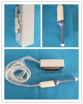 Τεχνική ανάλυση με υπερηχογράφηση 4D Transvaginal GE RIC5-9H