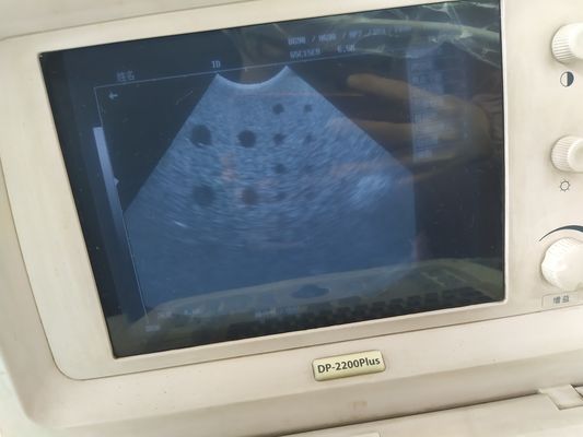 Κλάση ΙΙ Υπερήχων Εμπειρογνώμονας Μίντραϊ Σκανέρ εγκυμοσύνης 65C15EA Μικροεπικάλυτο ανιχνευτή για απεικόνιση